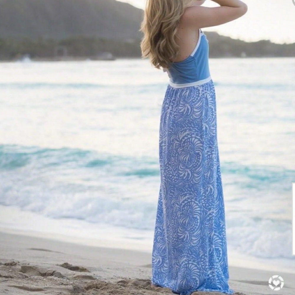 🆕️ Lauren James Maxi Dress